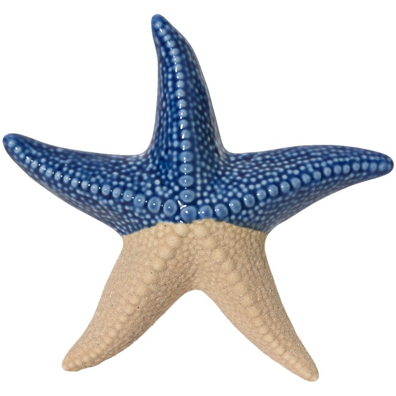 Kaemingk Kaemingk Two Tone Porcelain Starfish Ornament