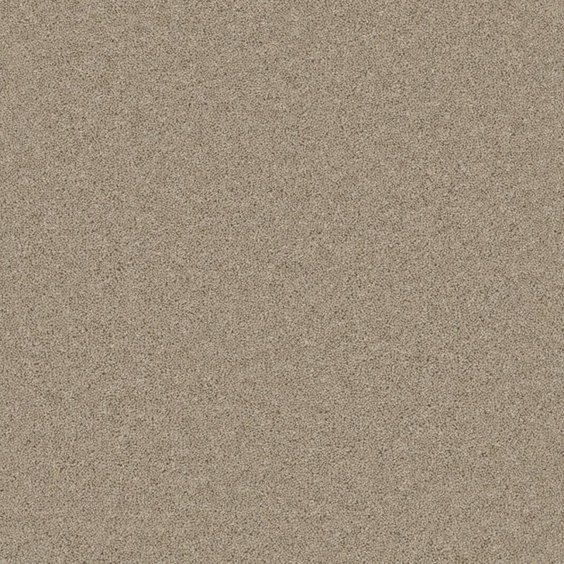 Furlong Timeless Classic Carpet in Fleeting Fawn