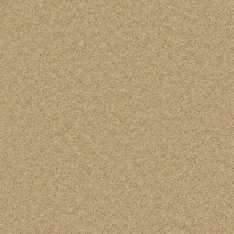 Furlong Timeless Classic Carpet in Sand Salt