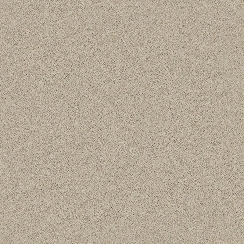 Timeless Deluxe Carpet In Cotton Cloud