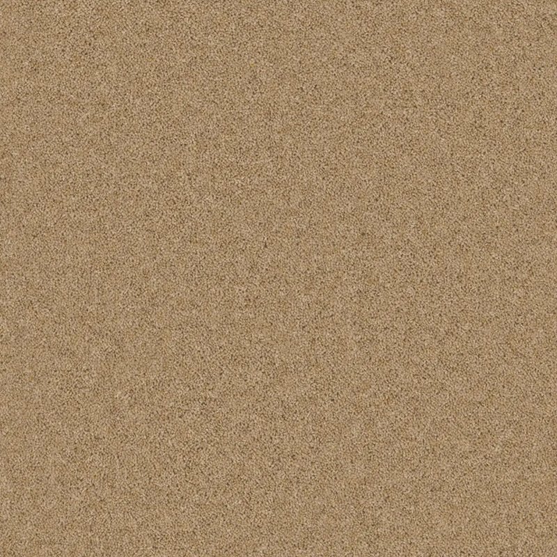 Timeless Deluxe Carpet In Hessian Hue