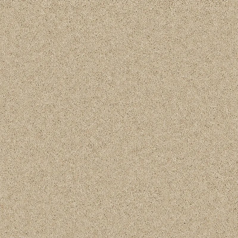 Timeless Deluxe Carpet In Mild Malt