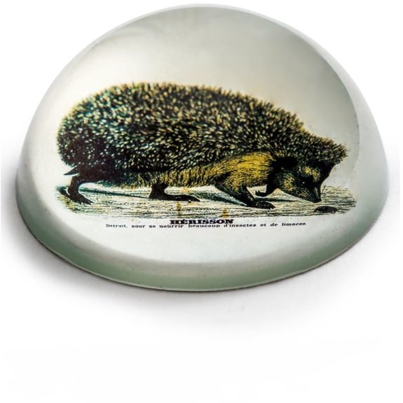 McGowan Rutherford McGowan Rutherford Glass Hedgehog Paperweight