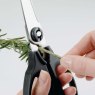 OXO OXO Kithchen and Herb Scissors