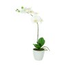 Floralsilk White Phalaenopsis In Pot 56cm