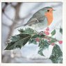 Paper House Robins On Holly Pack Cards