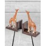 Cast Iron Antiqued Pair Of Giraffe Bookends lifestyle image of the bookends