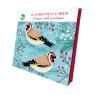 Otter House RSPB Birds And Berries Luxury Xmas Cards