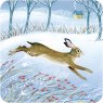 Otter House RSPB Wintry Hare And Fox Luxury Xmas Cards design 1 of a hare