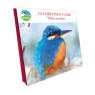 Otter House RSPB Kingfisher In The Snow Small Square Xmas Cards