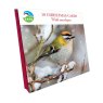 Otter House RSPB Snowy Firecrest Small Square Xmas Cards