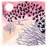 Otter House RSPB Starling Murmuration Small Square Xmas Cards design 1