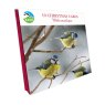 Otter House RSPB Blue Tits On Branches Small Square Xmas Cards