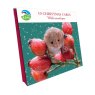 Otter House RSPB Harvest Mouse Small Square Xmas Cards packaging