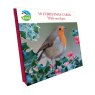 Otter House RSPB Chirpy Robin Small Square Xmas Cards packaging