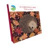 Otter House RSPB Sleeping Hedgehog Small Square Xmas Cards packaging