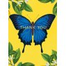 Ulysses Butterfly Pack Of 8 Thank You Notecards