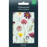 Mint Bloom Pack Of 8 Blank Notecards in packaging