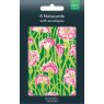 Carnations Pack Of 8 Blank Notecards in packaging