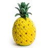 McGowan Rutherford Large Ceramic Pineapple Storage Jar