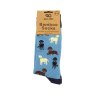 Eco Chic Blue Labrador Eco-Friendly Bamboo Socks in packaging