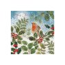 Charity Robin On Wreath, Midnight Robin, Robins On Holly Branches Cards