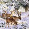 Fallow Buck and Fallow Deer and Deer under Tree