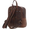 Tenbury Brown Backpack back