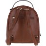 Ashwood Leather Zenith Tan Backpack back