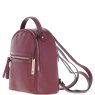 Ashwood Leather Zenith Wine Backpack side view 1