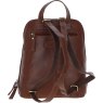 Ashwood Leather Tan Backpack back