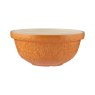 Home To Roost Orange 24cm Mixing Bowl cut out