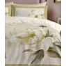 Appletree Brielle Gold Duvet Cover Set close up