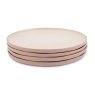 Jamie Oliver Big Love Perfect Plates Set Of 4